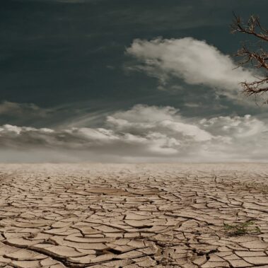 Dry earth
